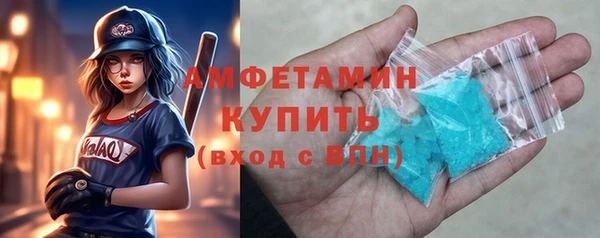 шишки Абаза