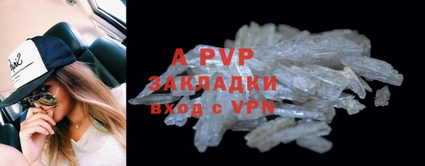 шишки Абаза