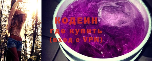 шишки Абаза