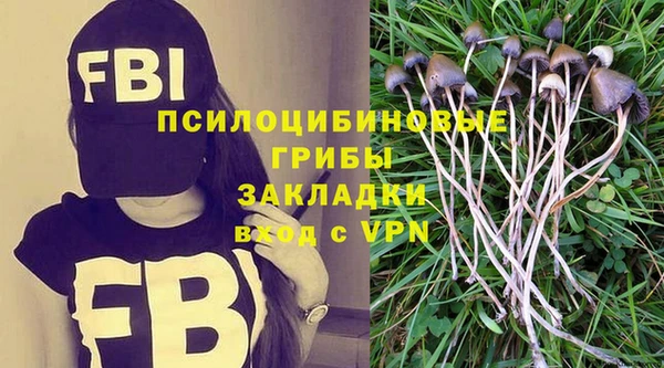шишки Абаза
