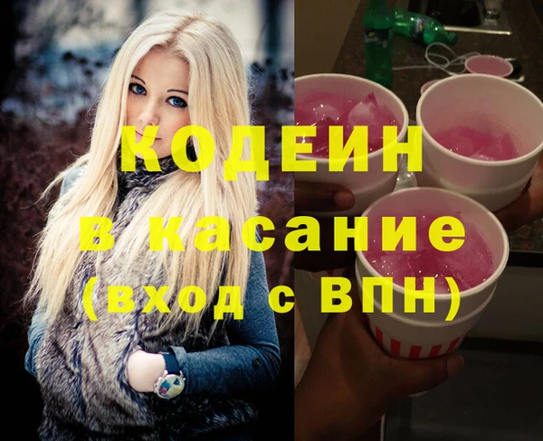шишки Абаза