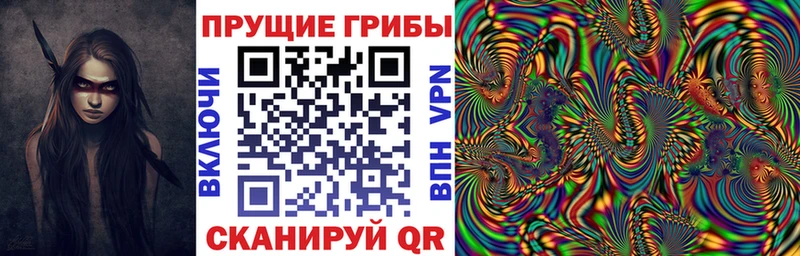 хочу Дубна Галлюциногенные грибы Psilocybine cubensis